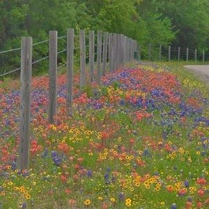 Meet your Posher, Farrah